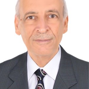 حاتم حميد محسن