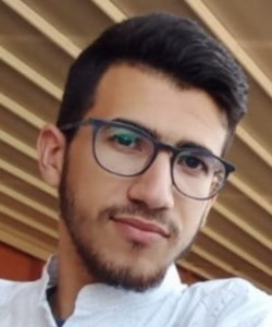 حمزة فنين