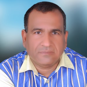 محمود محمد علي