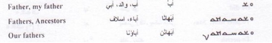 1366 saleem3
